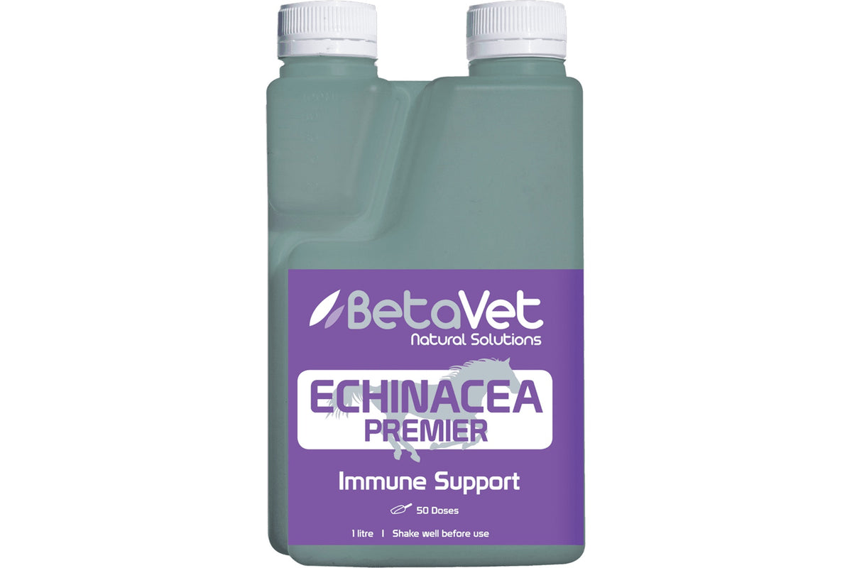 BetaVet Echinacea Premier - 1l
