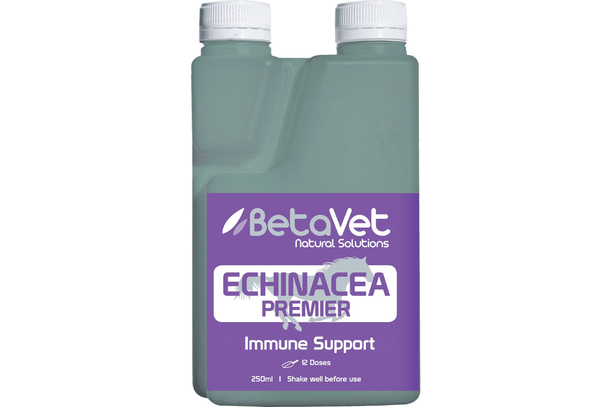 BetaVet Echinacea Premier - 250ml