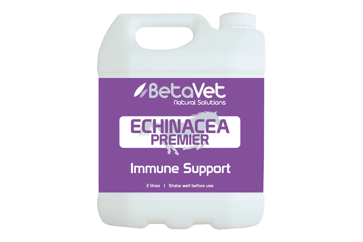 BetaVet Echinacea Premier - 2l