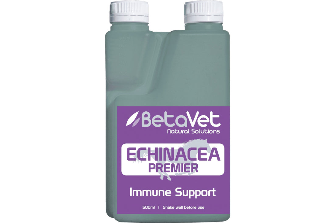 BetaVet Echinacea Premier - 500ml