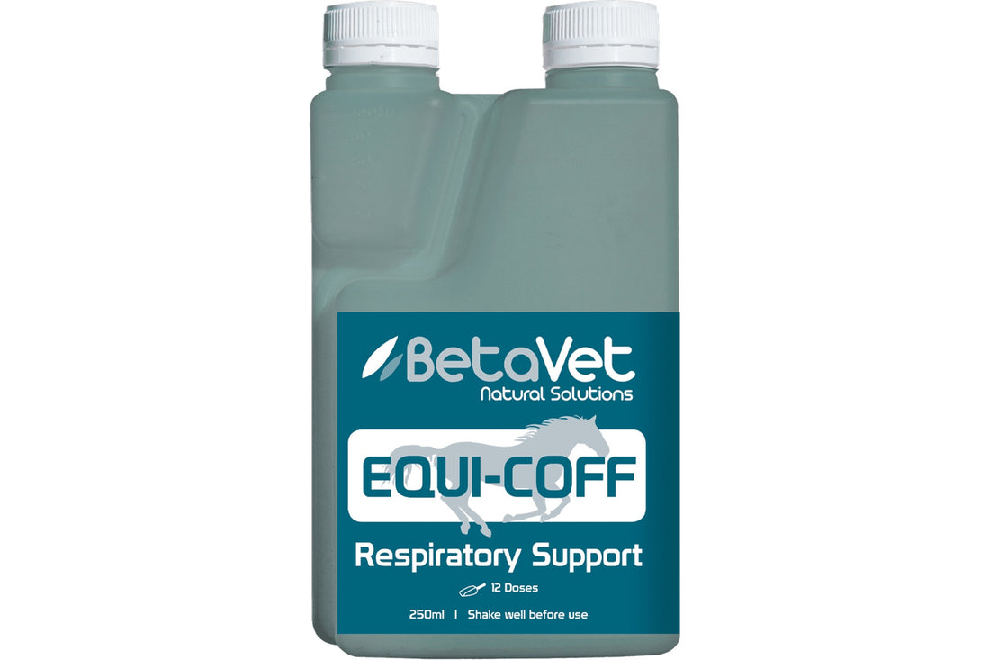 BetaVet Equi-Coff - 250ml