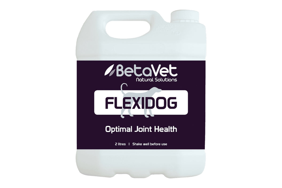 BetaVet Flexidog - 2l