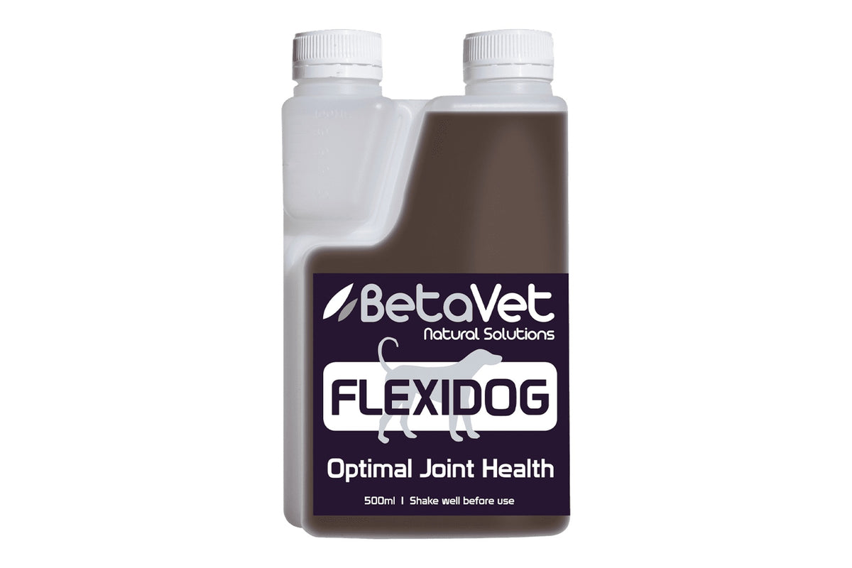 BetaVet Flexidog - 500ml