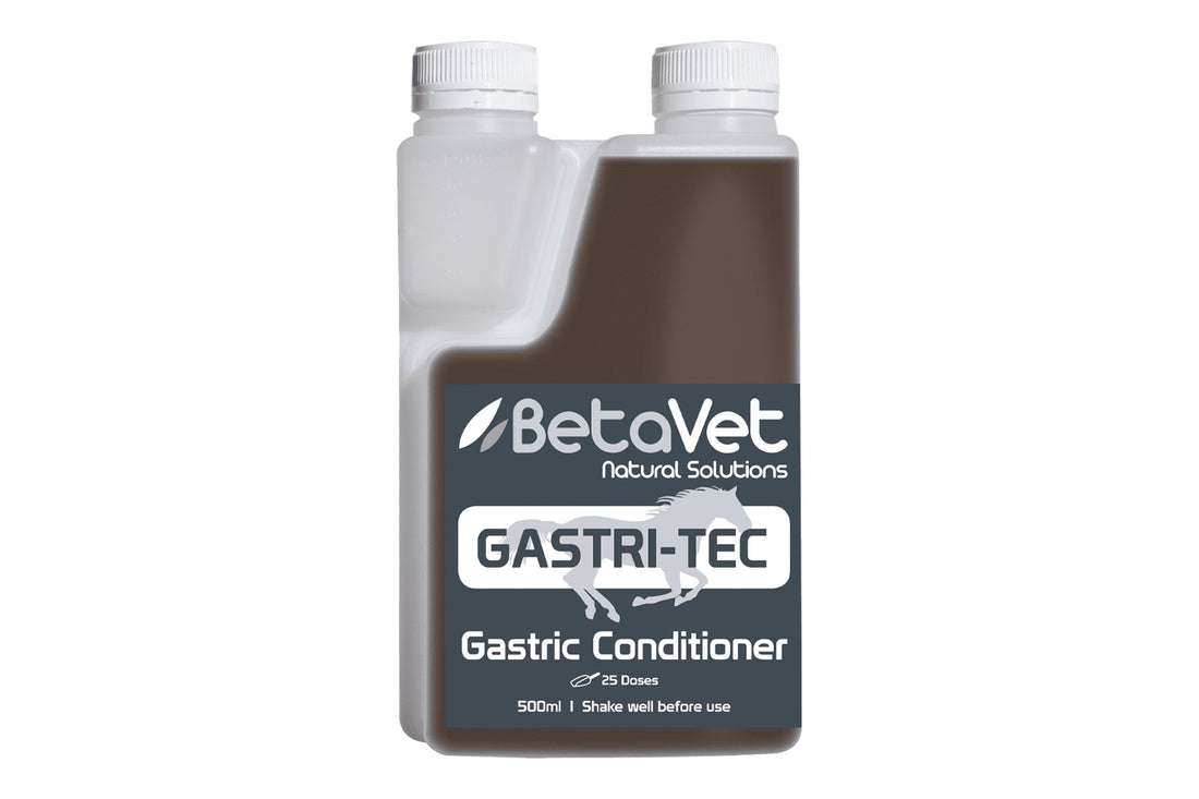 BetaVet Gastri-Tec - 500ml