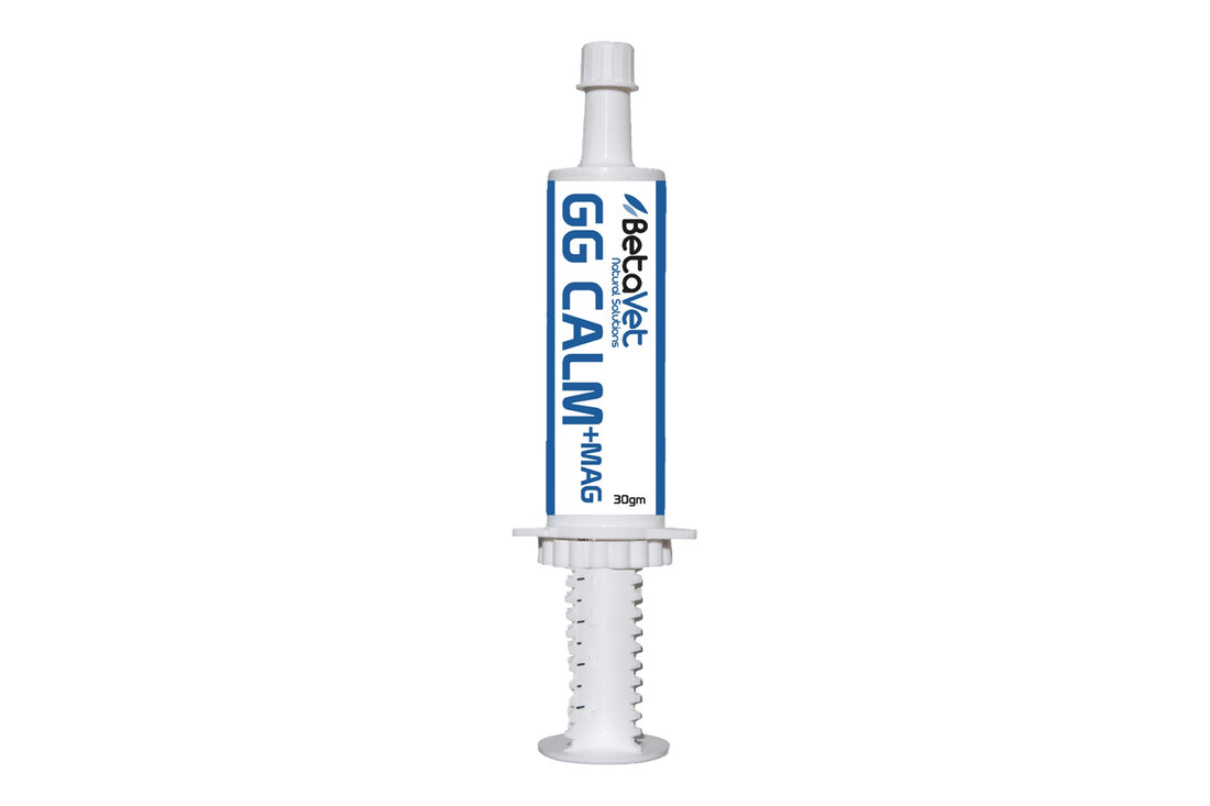 BetaVet GG Calm + Magnesium - 30gm