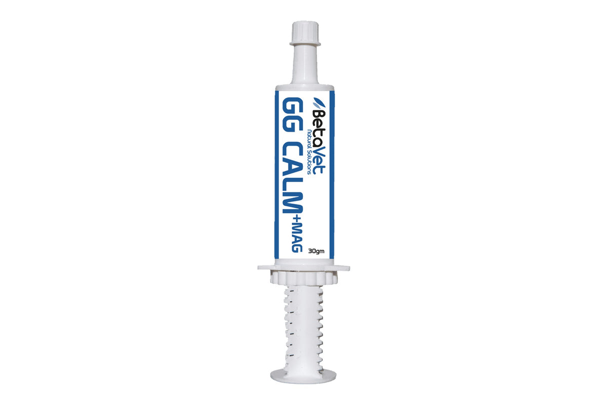 BetaVet GG Calm + Magnesium - 30gm