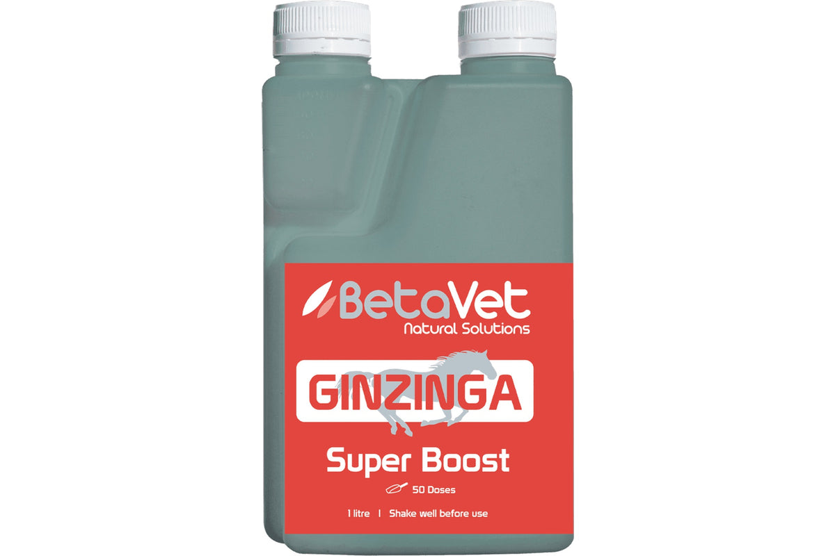 BetaVet Ginzinga - 1l