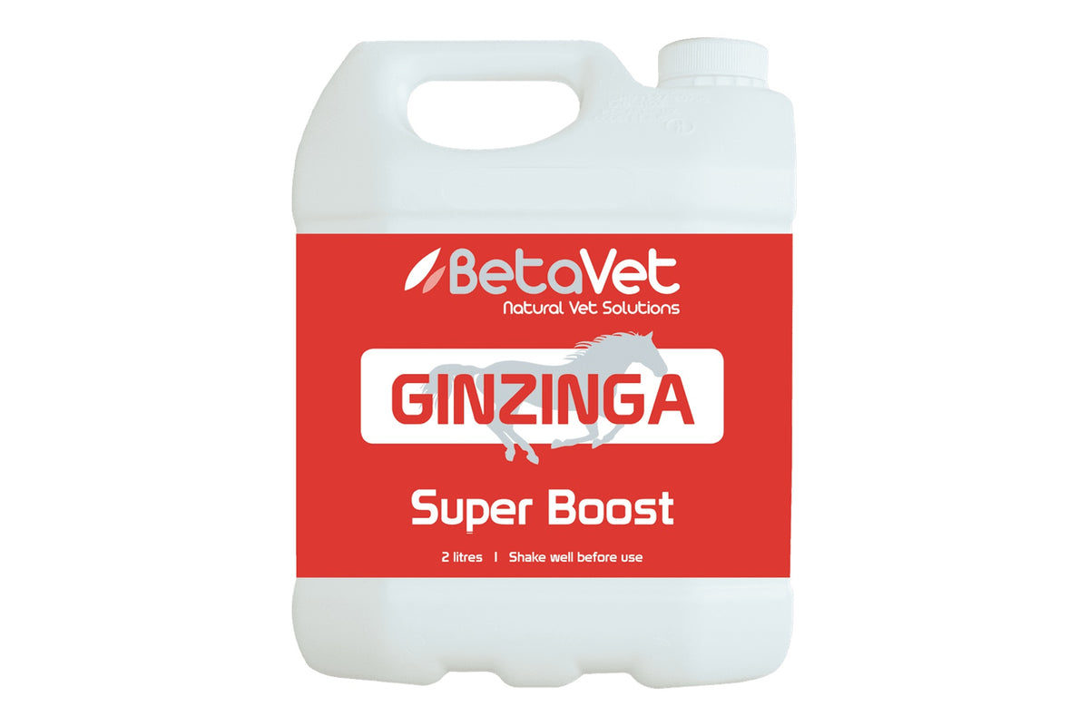 BetaVet Ginzinga - 2l