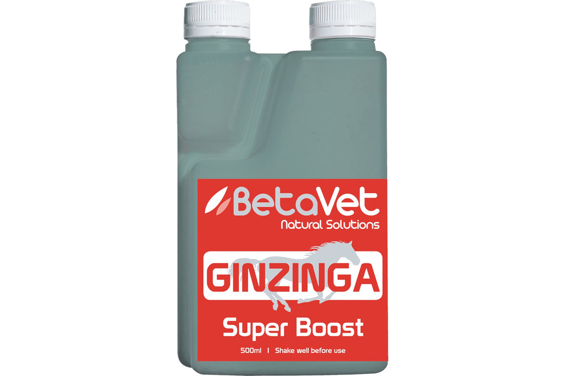 BetaVet Ginzinga - 500ml