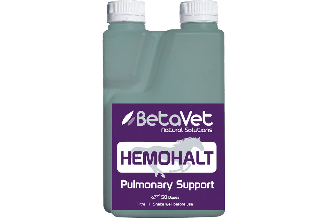 BetaVet Hemohalt - 1l