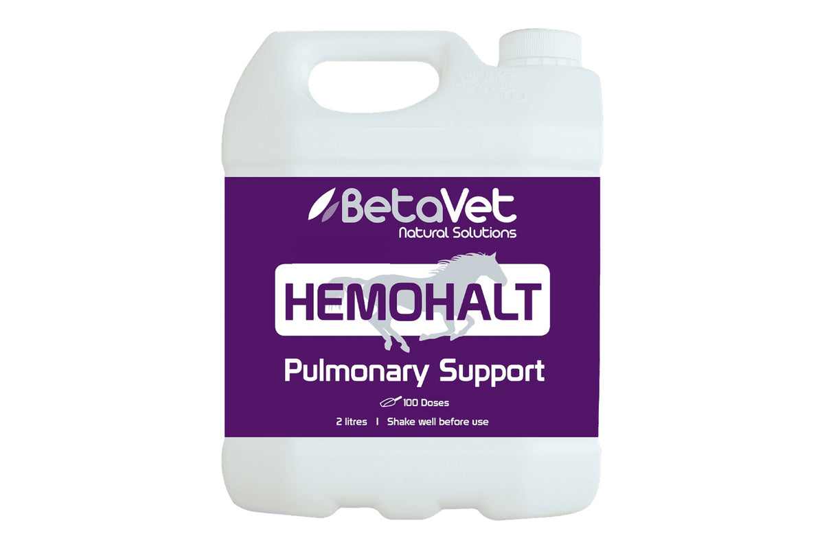 BetaVet Hemohalt - 2l