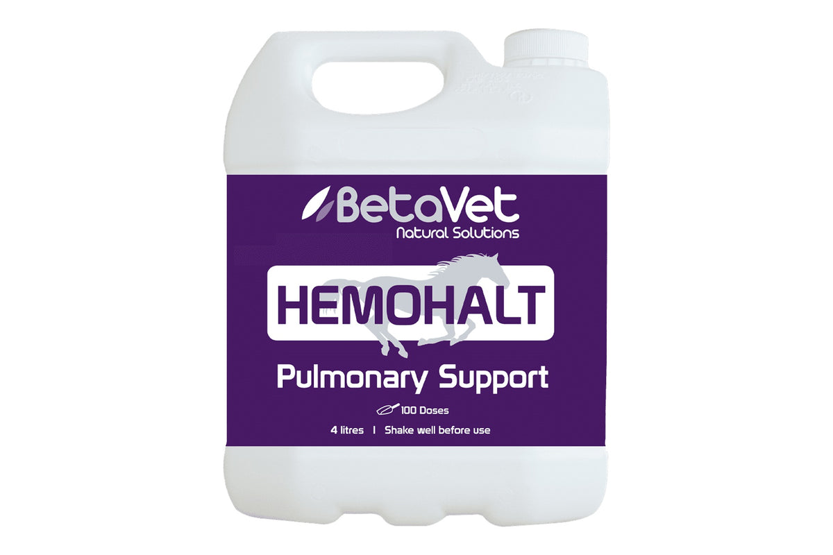 BetaVet Hemohalt - 4l