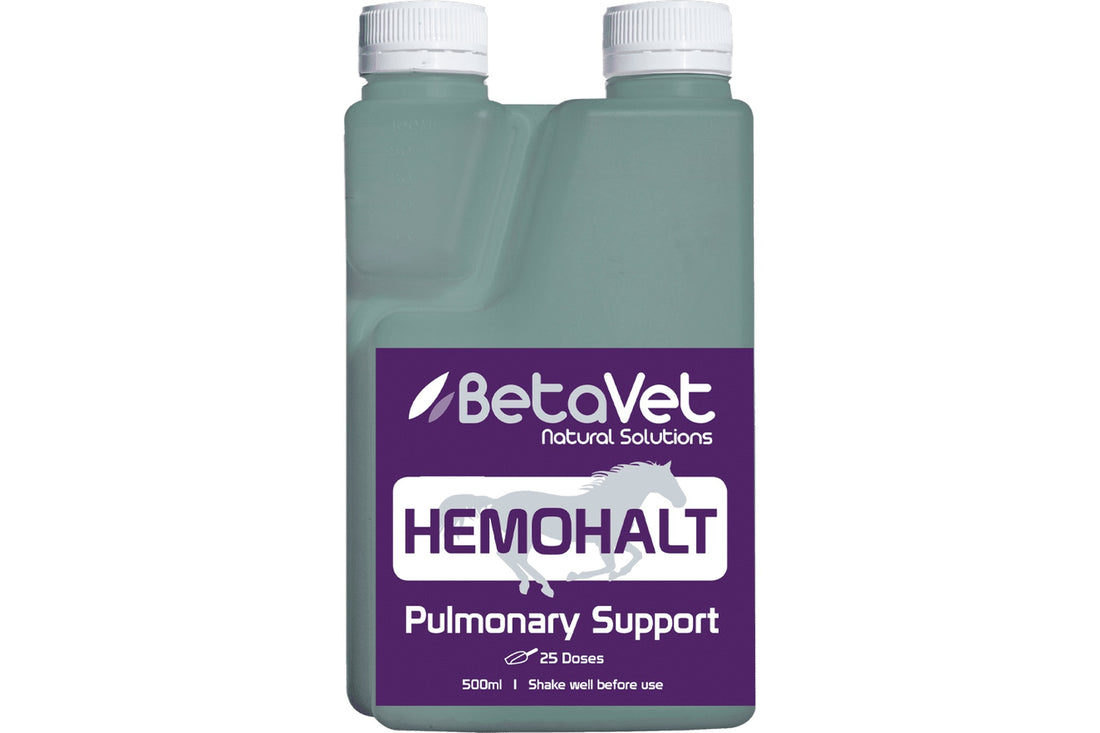 BetaVet Hemohalt - 500ml