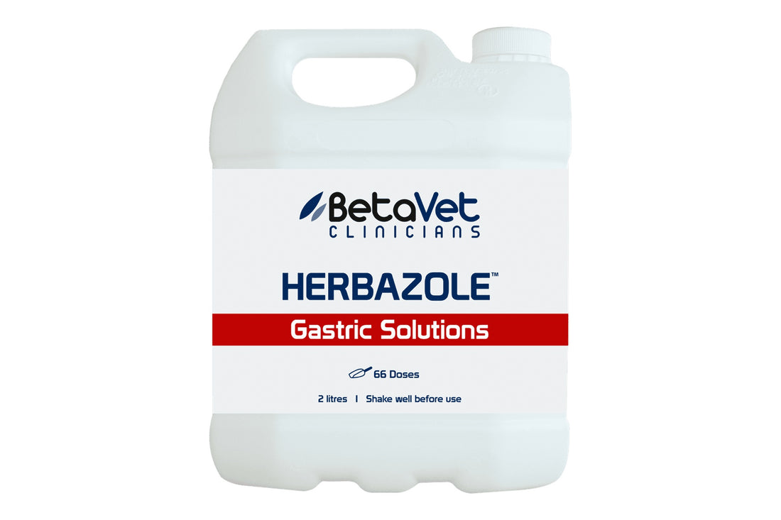 BetaVet Herbazole - 2l