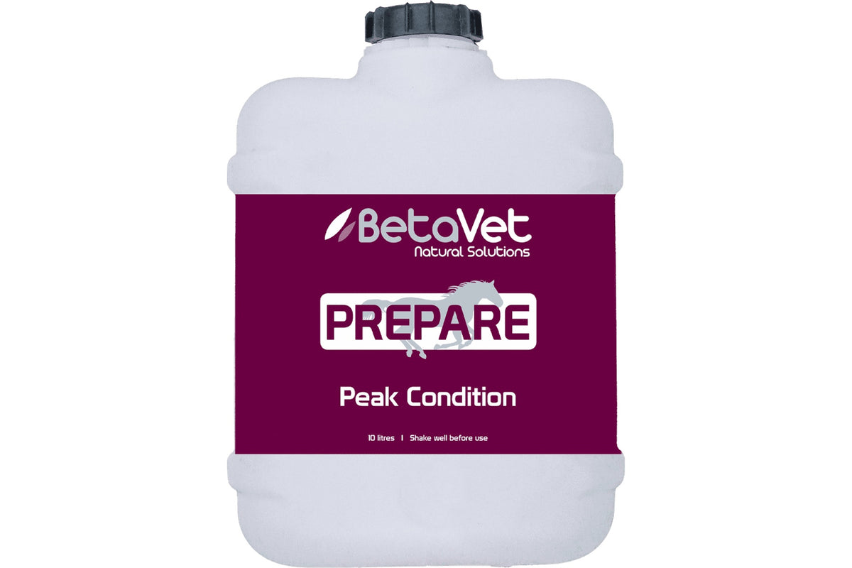 BetaVet Prepare - 10l