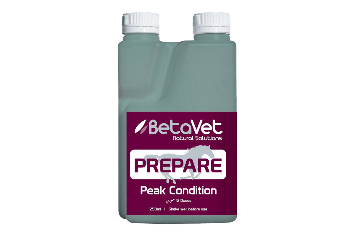 BetaVet Prepare - 250ml