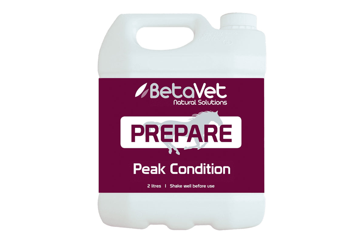 BetaVet Prepare - 2l
