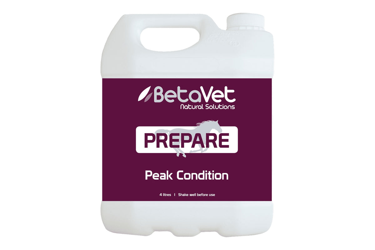 BetaVet Prepare - 4l