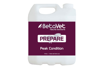 BetaVet Prepare - 4l
