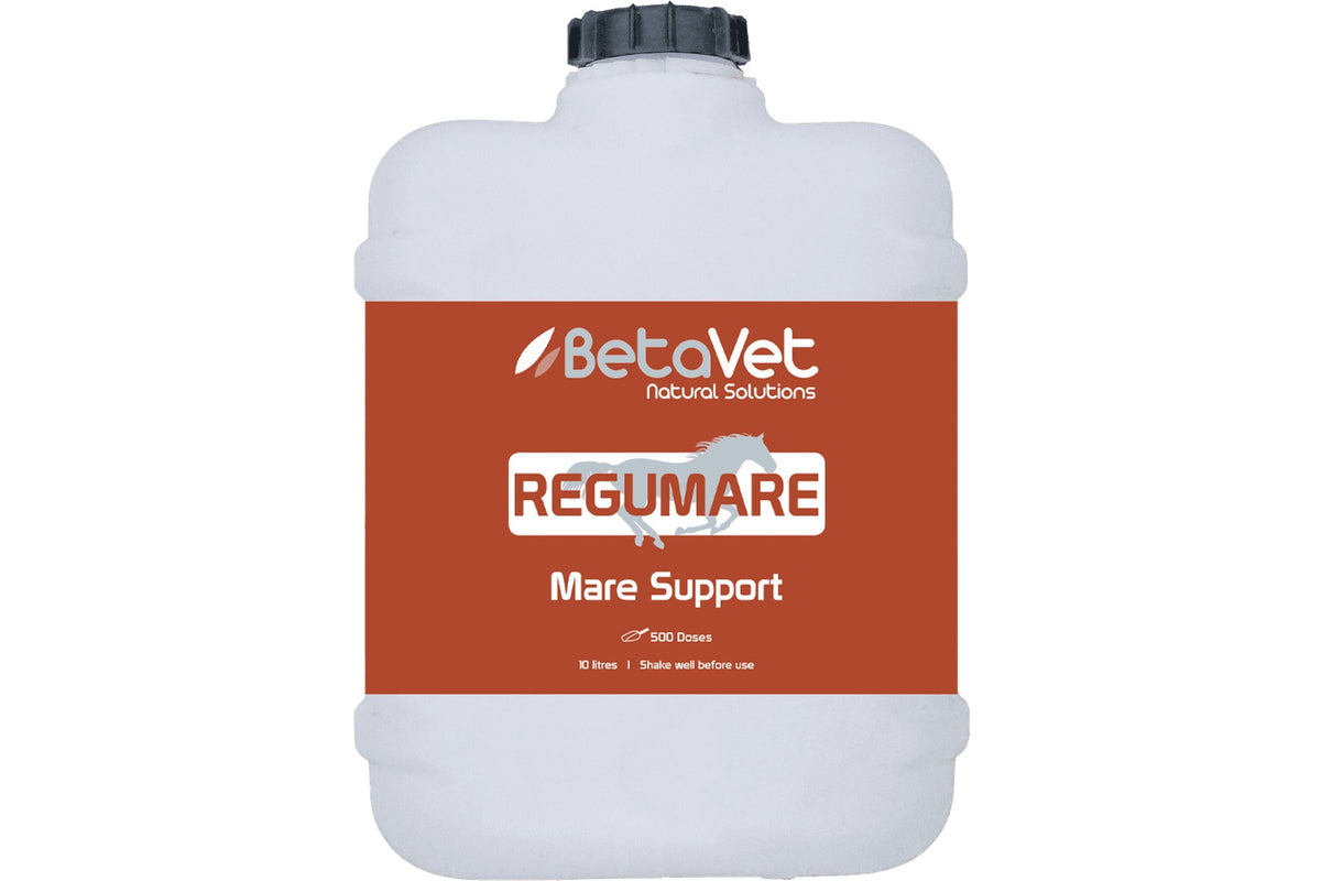BetaVet Regumare - 10l