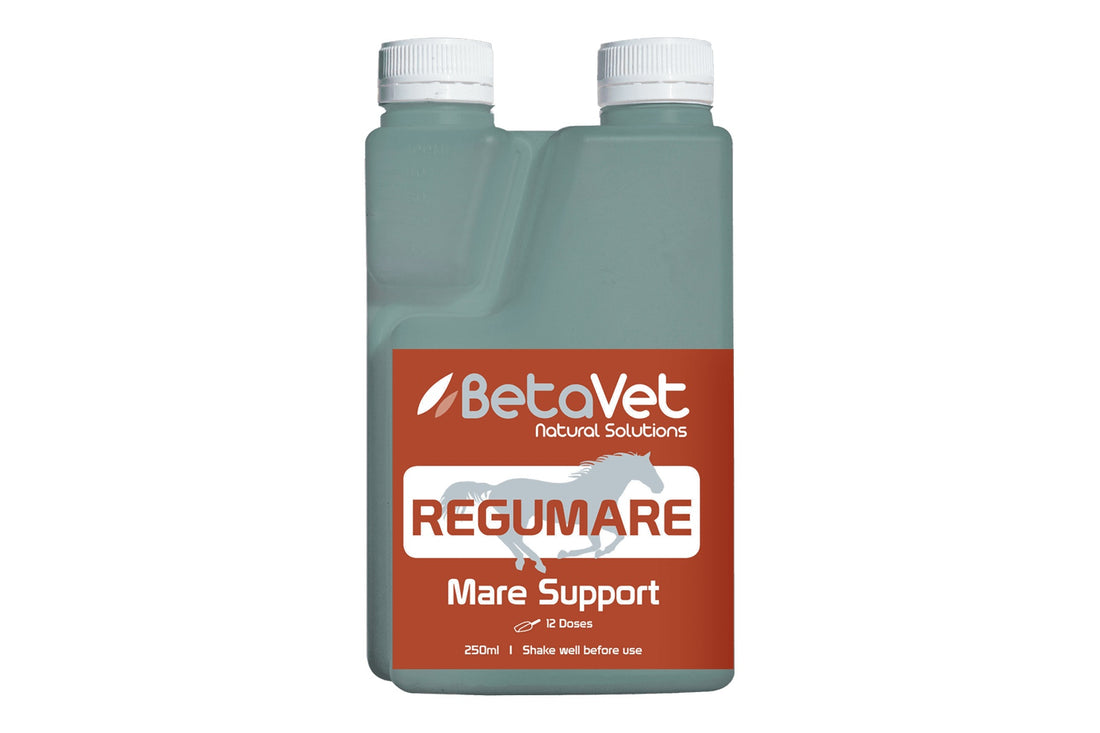 BetaVet Regumare - 250ml