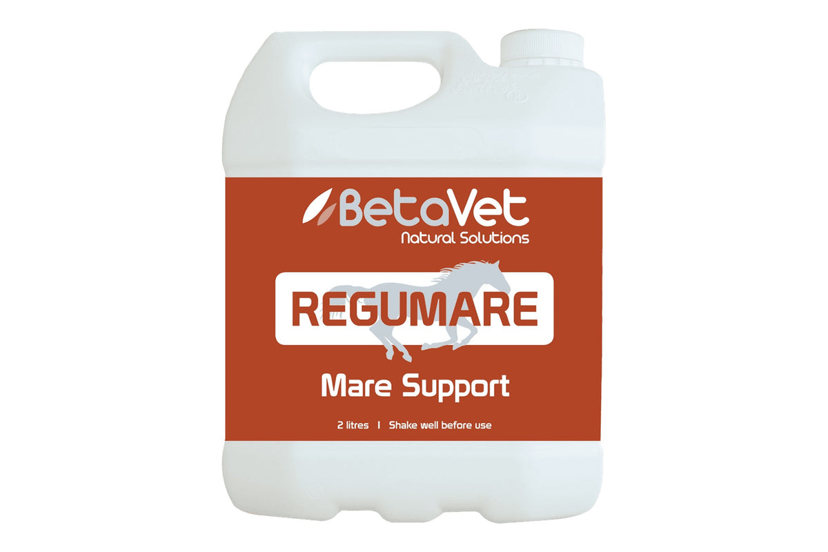 BetaVet Regumare - 2l