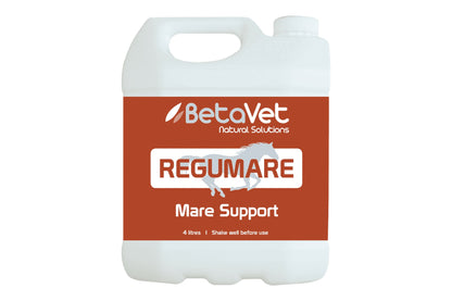 BetaVet Regumare - 4l