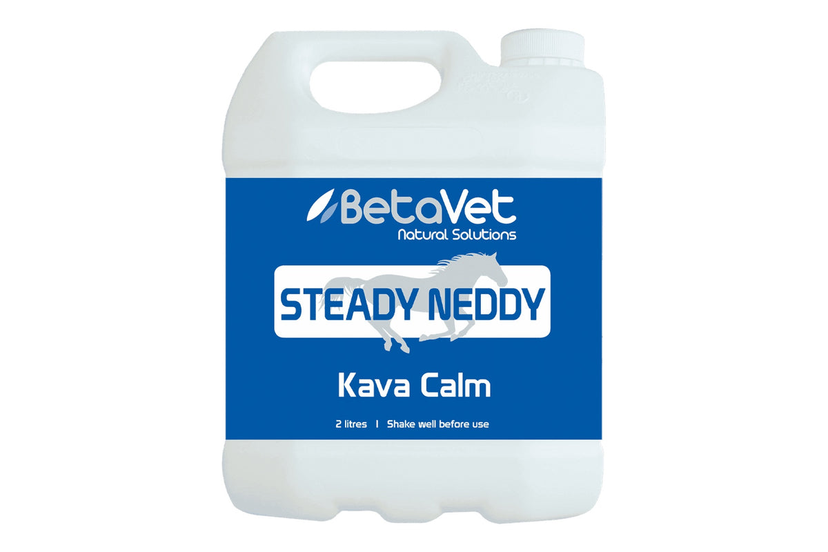 BetaVet Steady Neddy - 2l