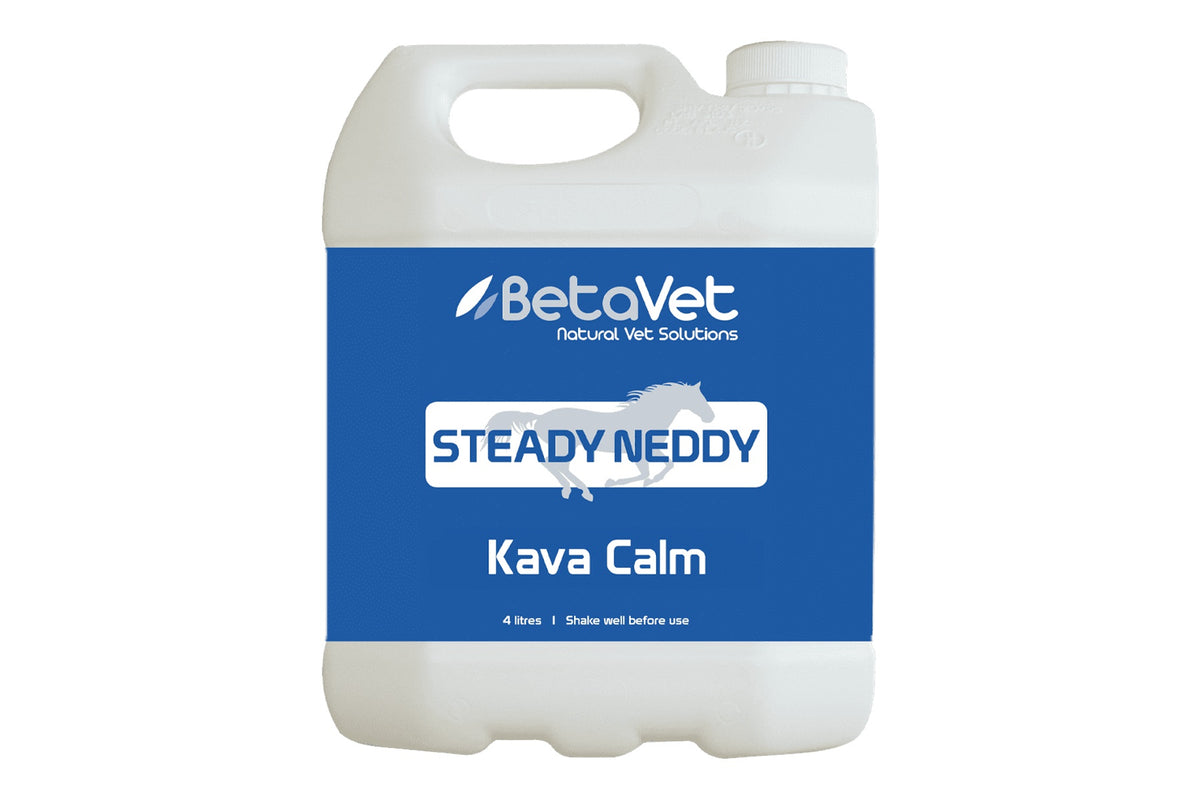 BetaVet Steady Neddy - 4l