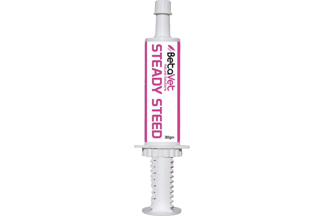 BetaVet Steady Steed Paste - 30gm