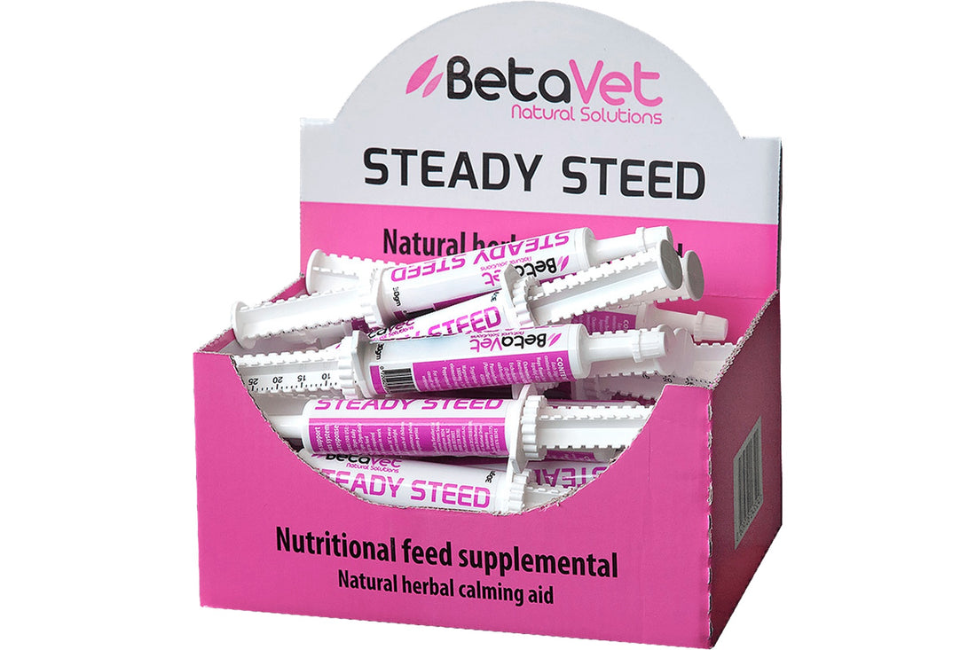 BetaVet Steady Steed Paste