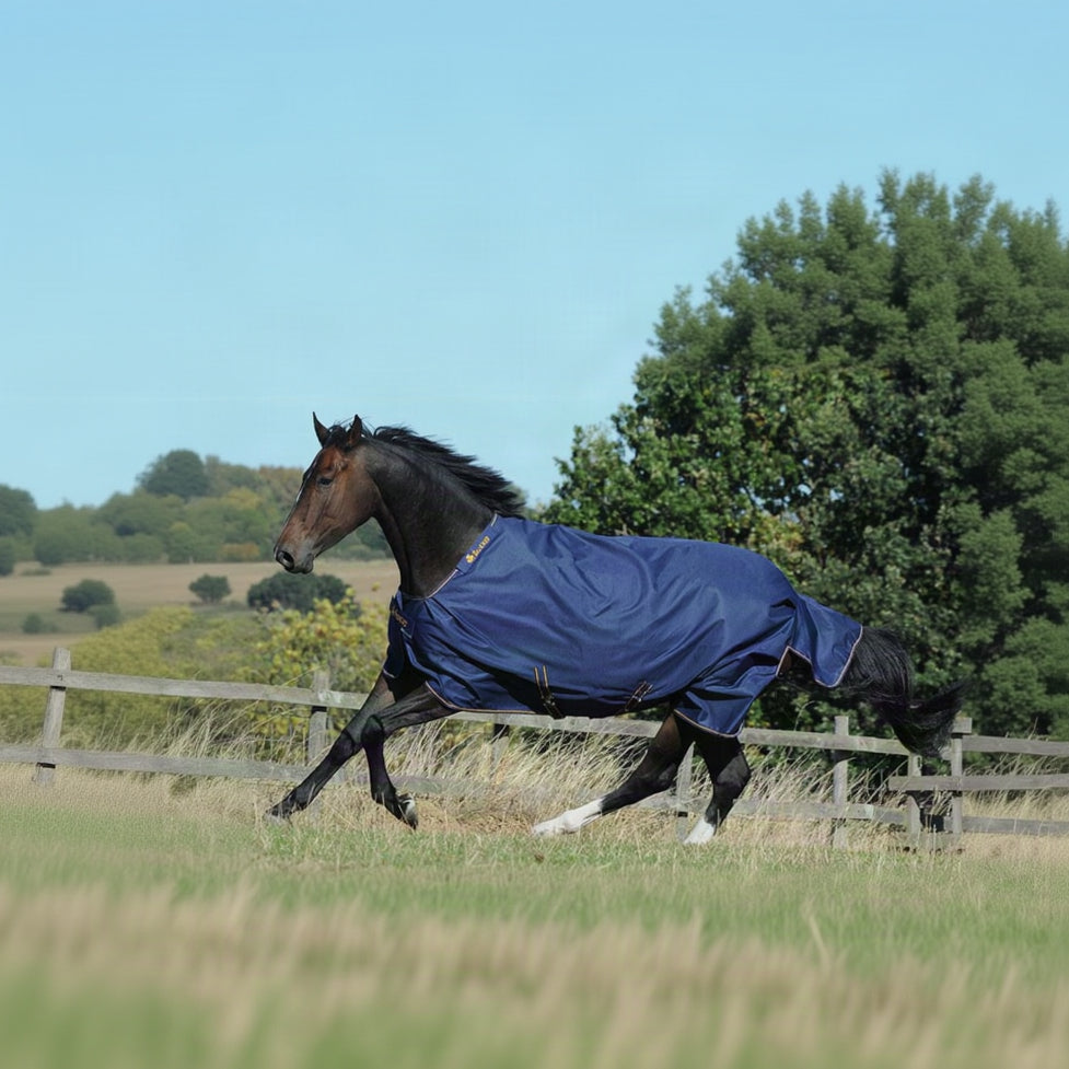 Bucas Rug Irish 1200D Navy