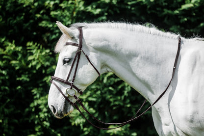 Cavallino Anatomical Raised Padded Bridle - 2