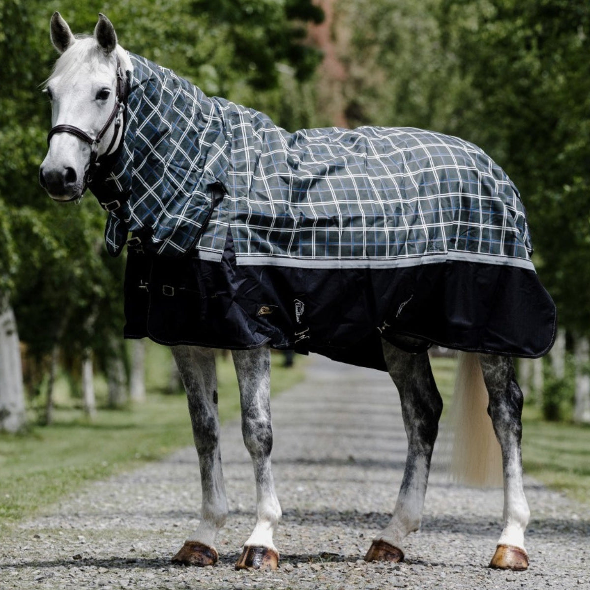 Cavallino Badminton Combo 1200D