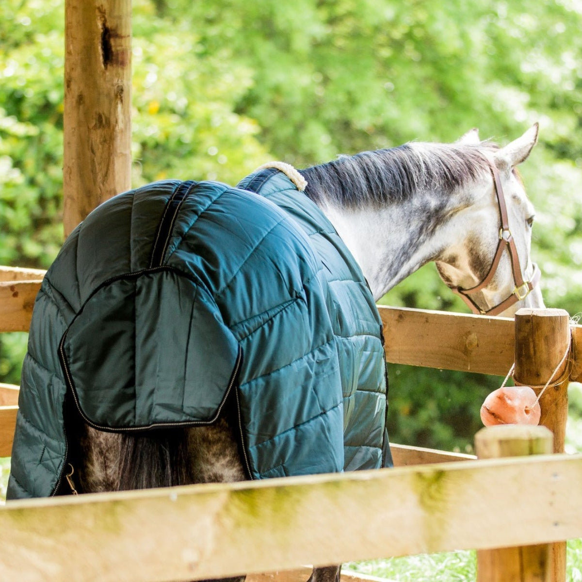 Cavallino Badminton Doona - 2