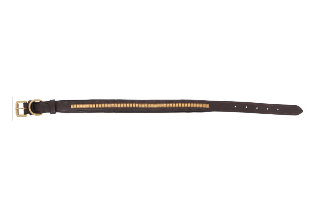 Cavallino Brass Clincher Leather Dog Collar - 2