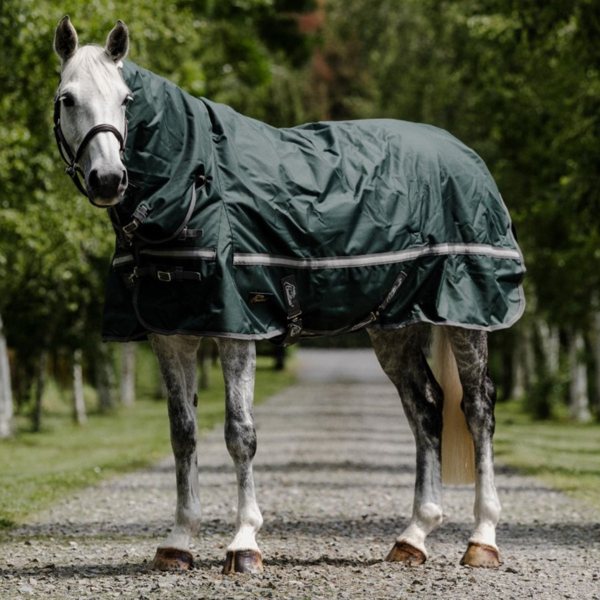 Cavallino Burghley Combo 1680D