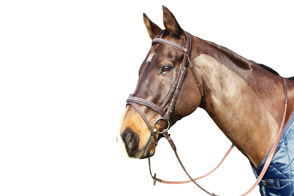Cavallino Mclean Anatomic Bridle - 2