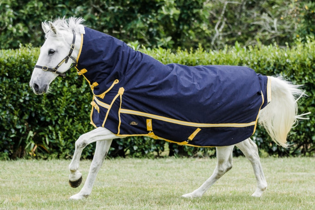 Cavallino Northampton Combo 1200D Navy - 3