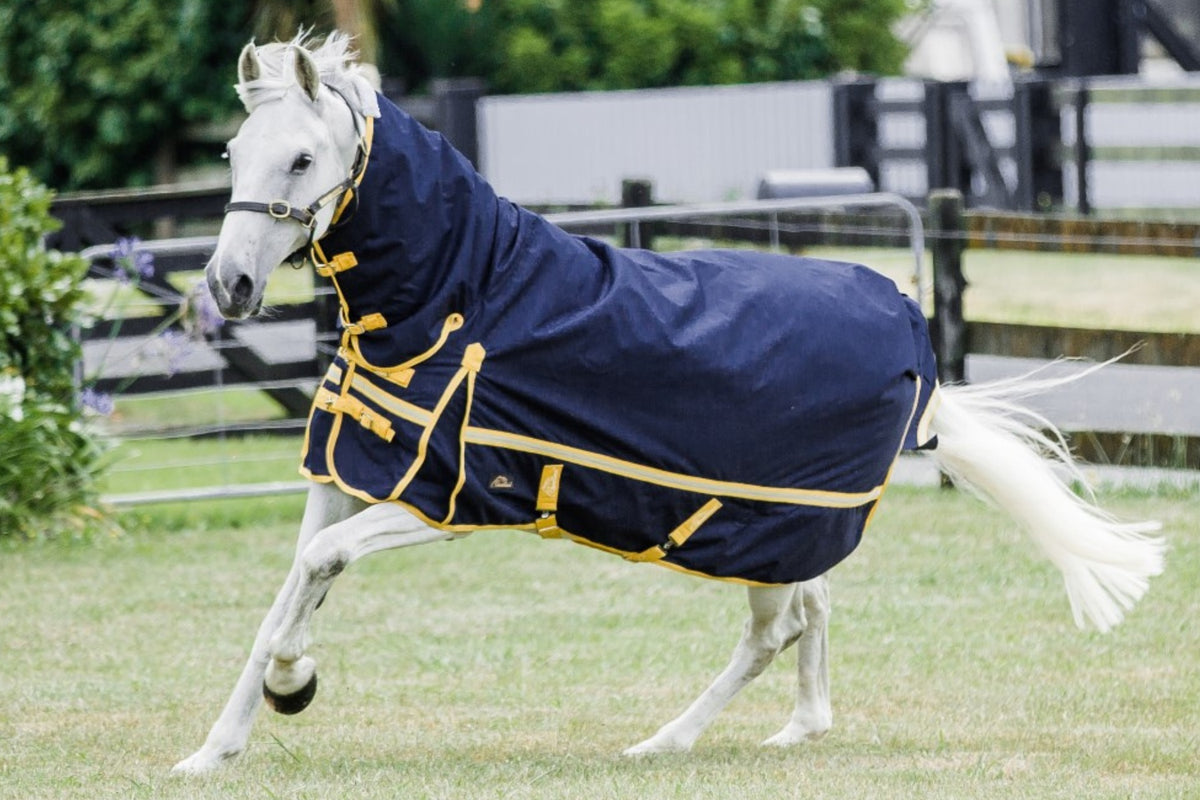 Cavallino Northampton Combo 1200D Navy - 4