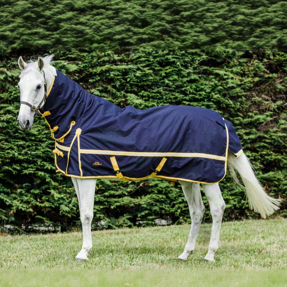 Cavallino Northampton Combo 1200D Navy