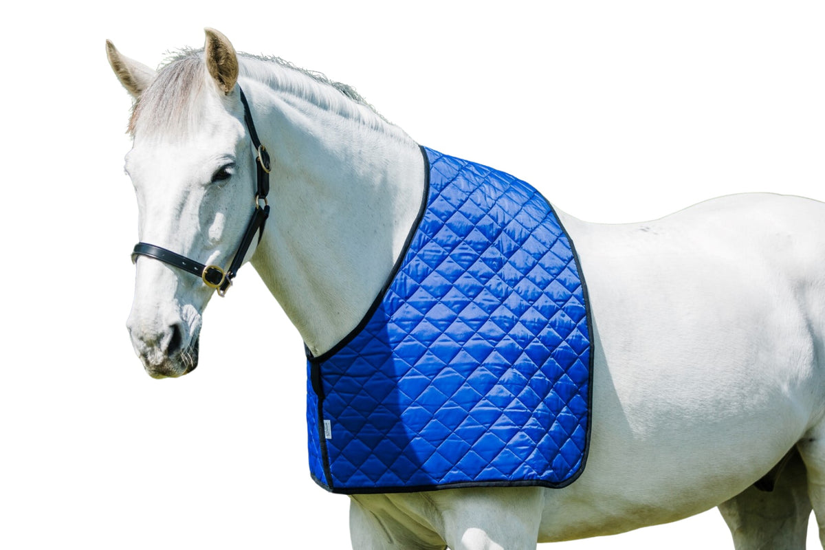 Flair Quilted Nylon Anti Rub Vest - 2