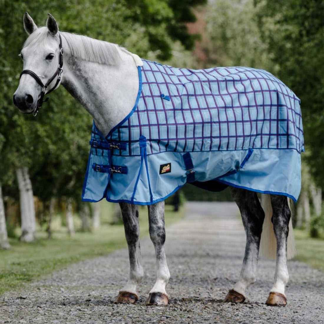 Flair Wanaka Rug 1200D - Rain Sheet