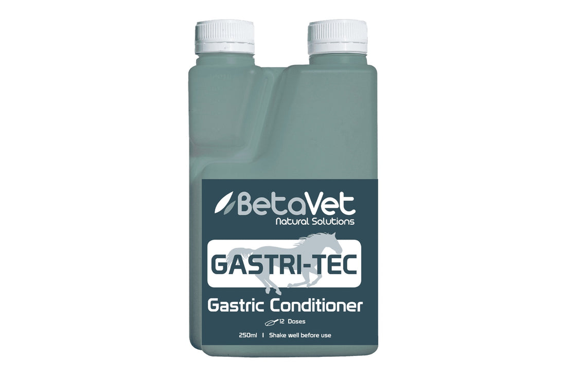 GASTRI-TEC