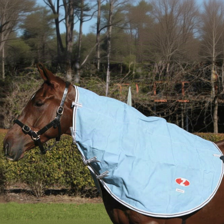 Hamilton Neck Rug