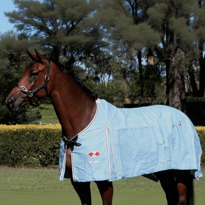 Hamilton Rug - 2