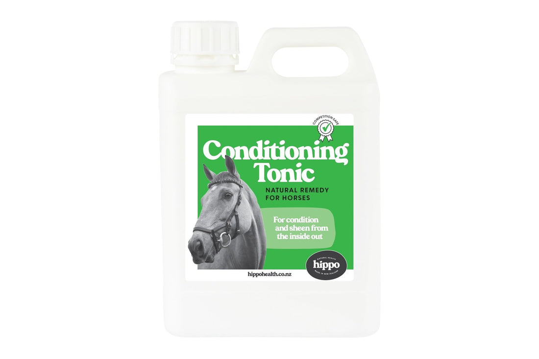 Hippo Health Conditioning Tonic - 1L Front