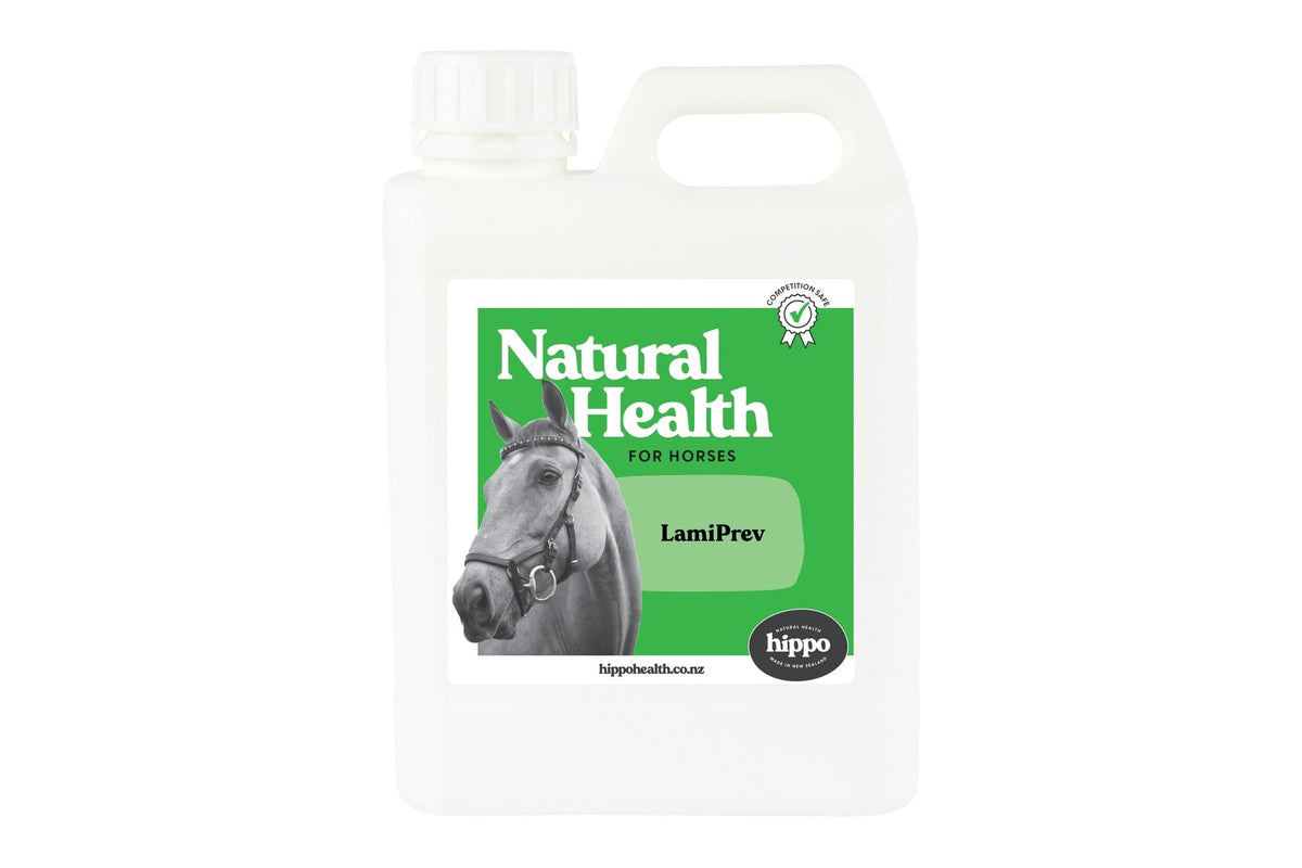 Hippo Health LamiPrev for horses prone to laminitis - 1L Front