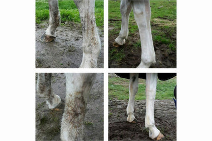 Hippo Health Mud &amp; Rain - 2