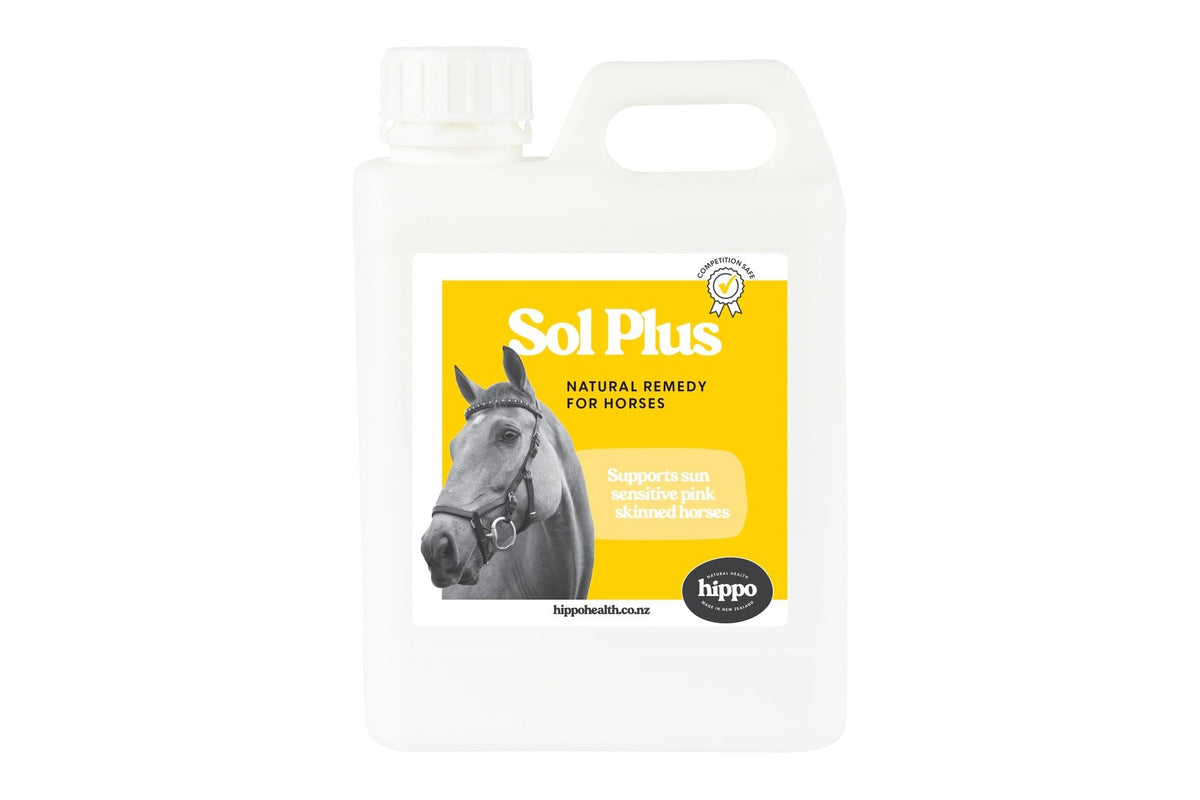 Hippo Health Sol Plus - Equine - 1L Front
